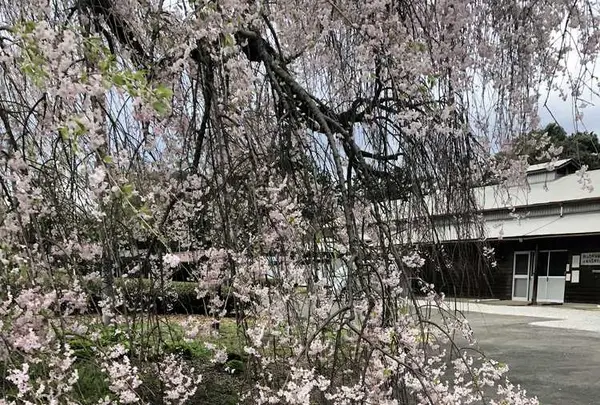 武者小路実篤記念新しき村美術館の写真・動画_image_188140