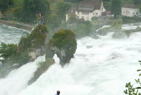 Rhine Fallsの写真・動画_image_188246
