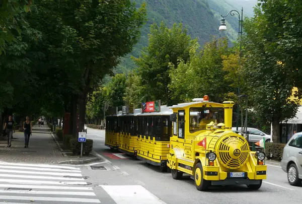 ティラノの写真・動画_image_188256