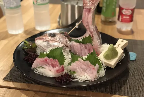 Fish & Tripsの写真・動画_image_188346