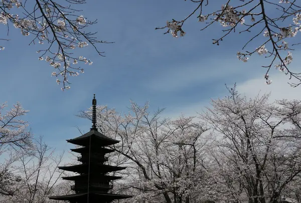 蓼科山聖光寺の写真・動画_image_188447