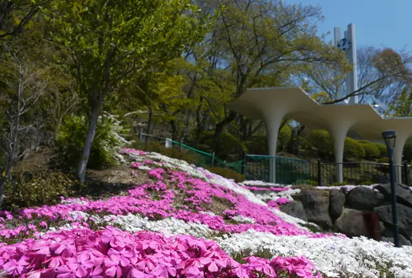 立石公園の写真・動画_image_188507