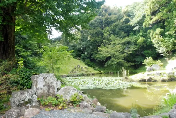 大福寺の写真・動画_image_188610