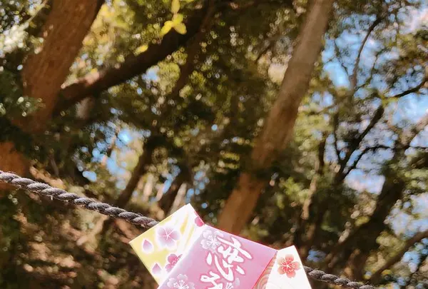 葛原岡神社の写真・動画_image_188642