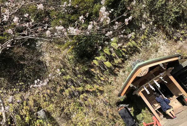 銭洗弁財天 宇賀福神社の写真・動画_image_188645