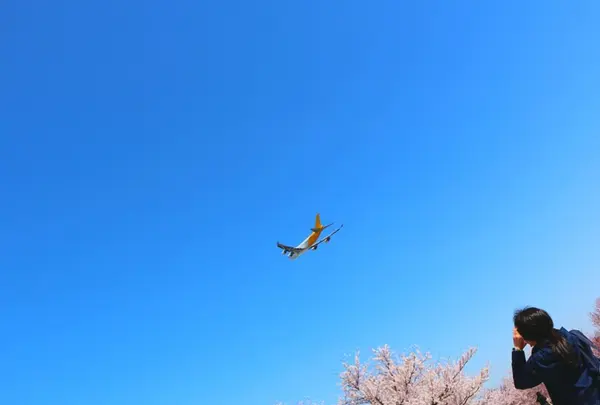 さくらの山公園の写真・動画_image_188671