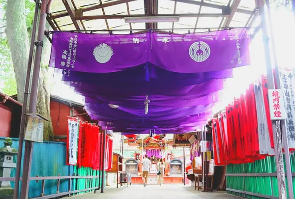 成田山新勝寺の写真・動画_image_188685