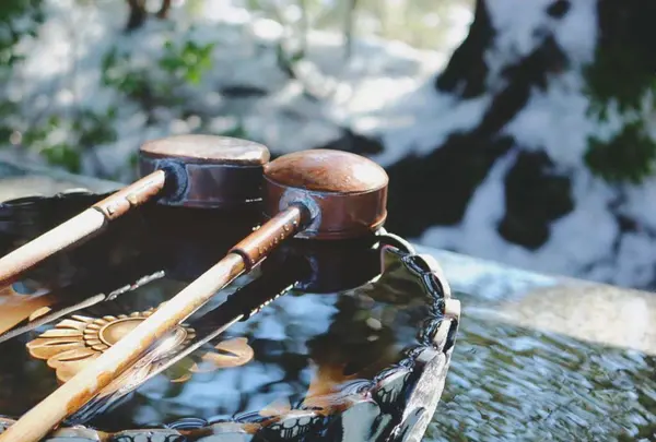 成田山新勝寺の写真・動画_image_188686