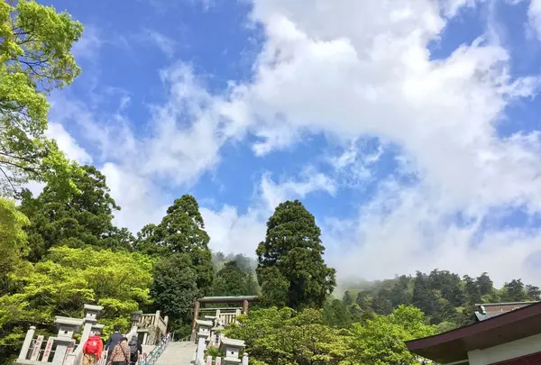 大山阿夫利神社の写真・動画_image_188765