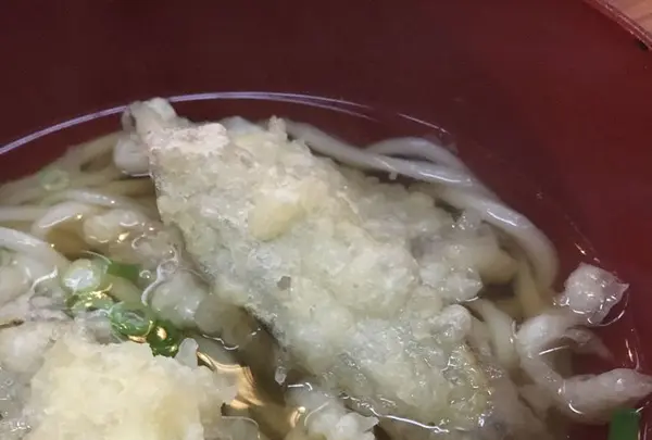 めん坊の写真・動画_image_188811