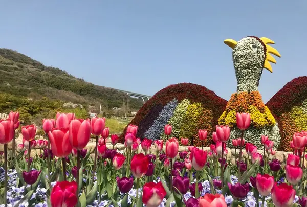 国営明石海峡公園の写真・動画_image_188838