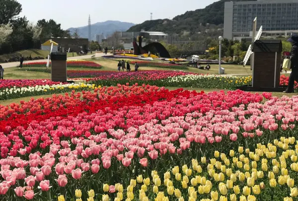 国営明石海峡公園の写真・動画_image_188839