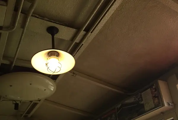 嵯峨野トロッコ列車の写真・動画_image_188848