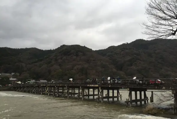 渡月橋の写真・動画_image_188851