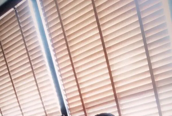 アルトバウの写真・動画_image_188972