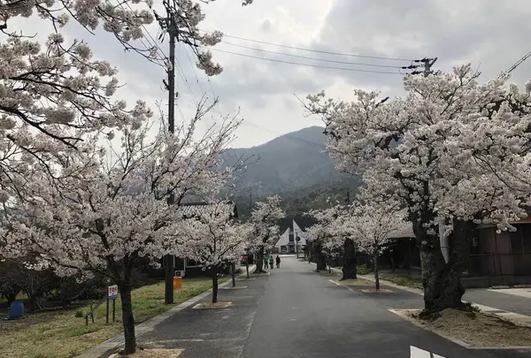 丹後由良駅の写真・動画_image_189011