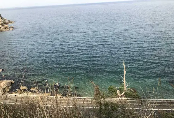 奈具海岸の写真・動画_image_189014