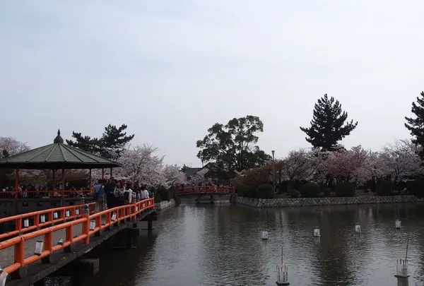九華公園(桑名城趾)の写真・動画_image_189022