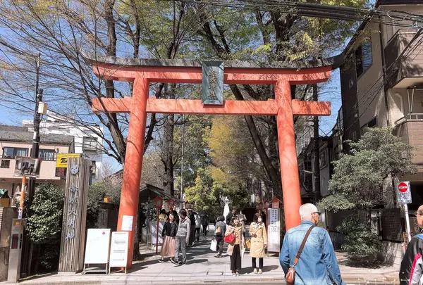 赤城神社の写真・動画_image_189297