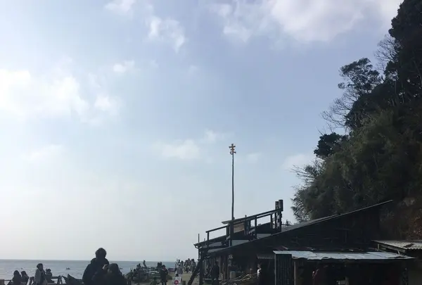 またいちの塩の写真・動画_image_189322