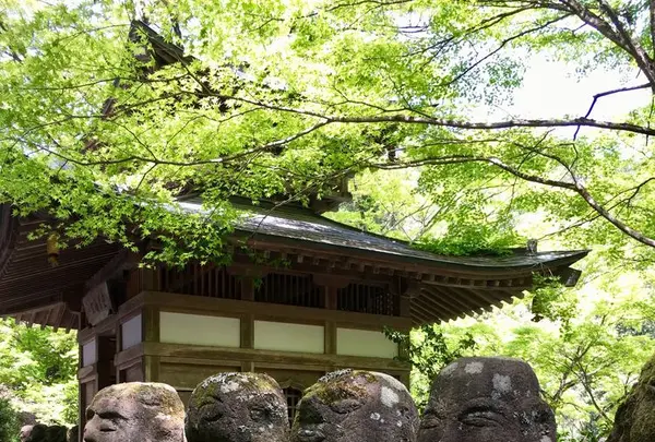 愛宕念仏寺の写真・動画_image_189382
