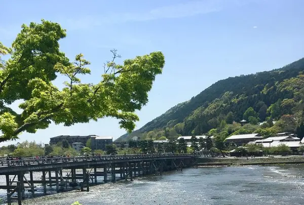 嵐山よしむらの写真・動画_image_189383