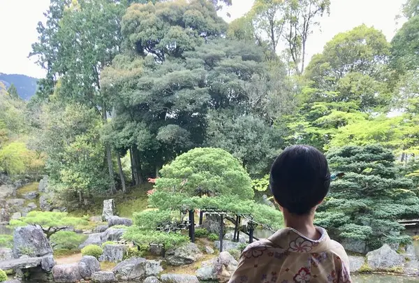 醍醐寺の写真・動画_image_189409