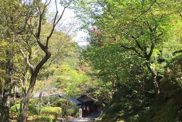 化野念仏寺の写真・動画_image_189419