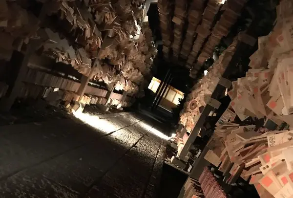 川越氷川神社の写真・動画_image_189783
