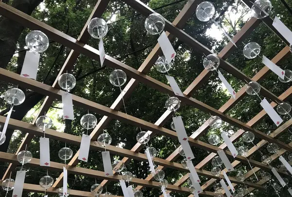 川越氷川神社の写真・動画_image_189784