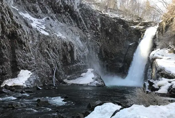 秋保大滝の写真・動画_image_189804