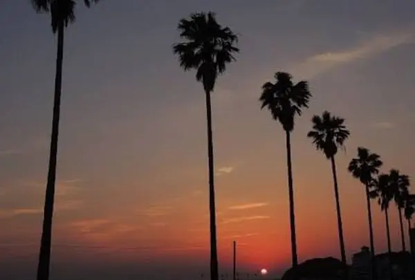内海海岸海水浴場の写真・動画_image_189901