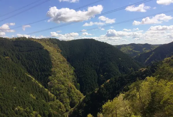 新旅足橋の写真・動画_image_189983