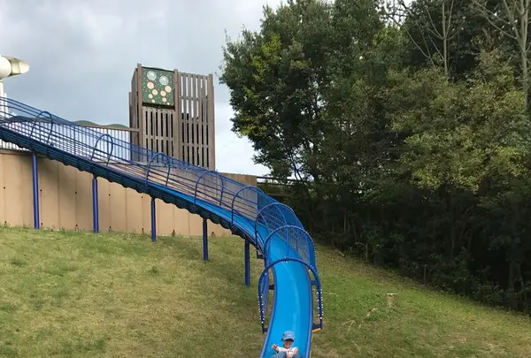 愛・地球博記念公園の写真・動画_image_190045