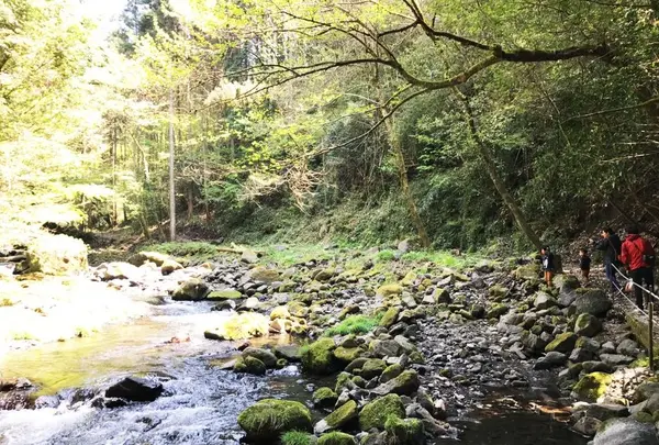食後は遊歩道でお散歩♪