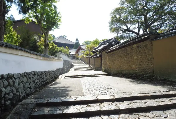 東大寺の写真・動画_image_190260