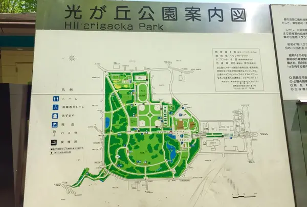 光が丘公園の写真・動画_image_190366