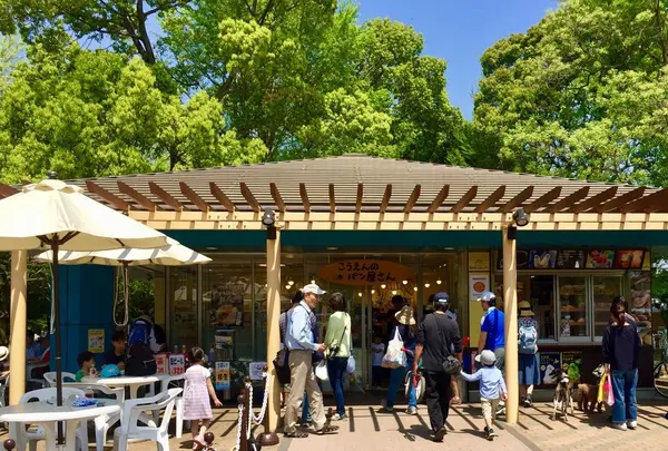 光が丘公園の写真・動画_image_190368