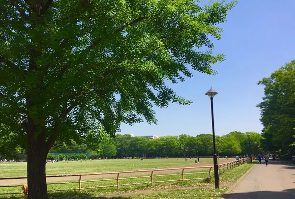 光が丘公園の写真・動画_image_190370