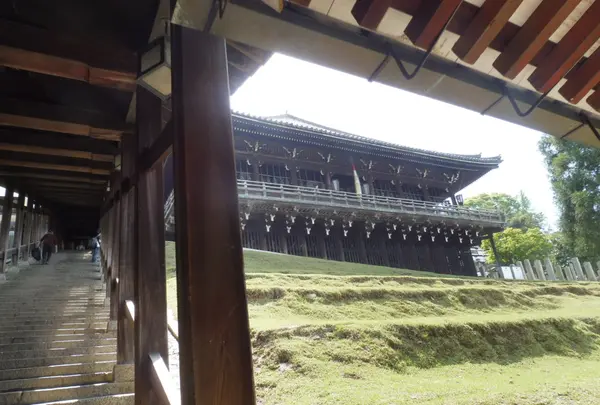 東大寺の写真・動画_image_190389