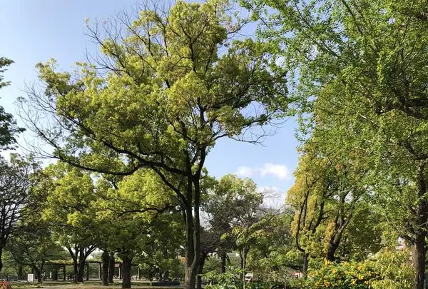 ザビエル公園の写真・動画_image_190394