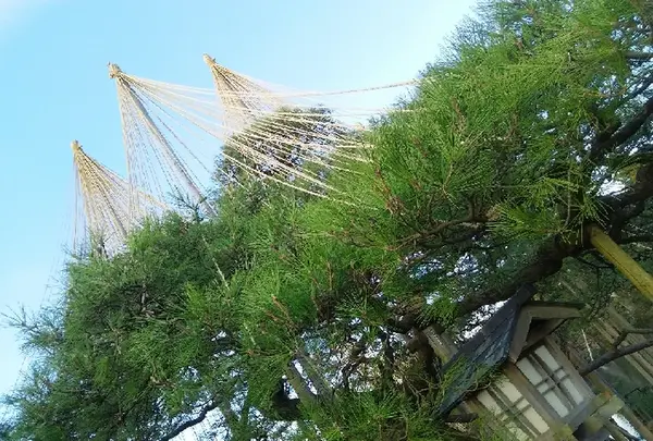 兼六園の写真・動画_image_190463