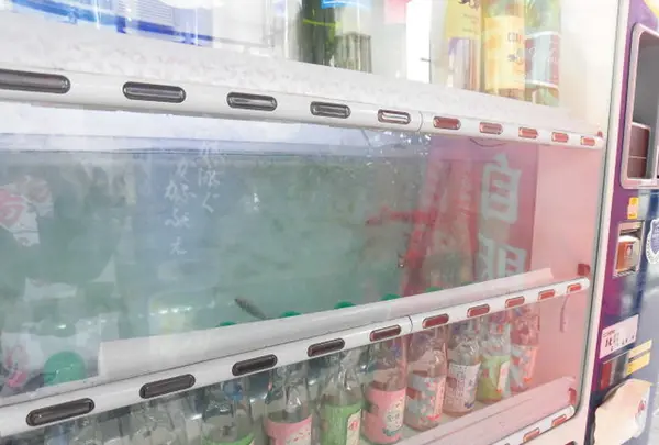 金魚自販機の写真・動画_image_190670