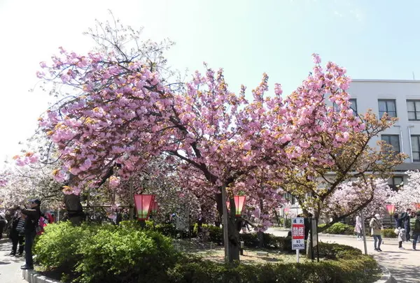 造幣博物館の写真・動画_image_190933