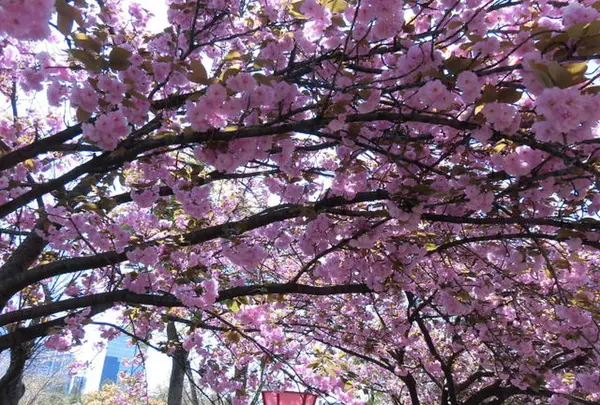 造幣博物館の写真・動画_image_190935