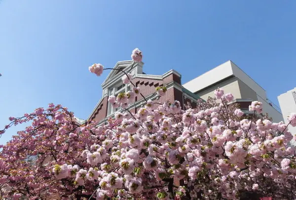 造幣博物館の写真・動画_image_190936
