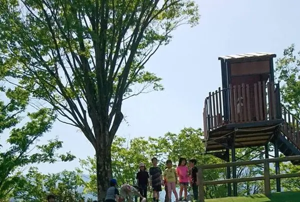 岐阜県こどもの国の写真・動画_image_190975