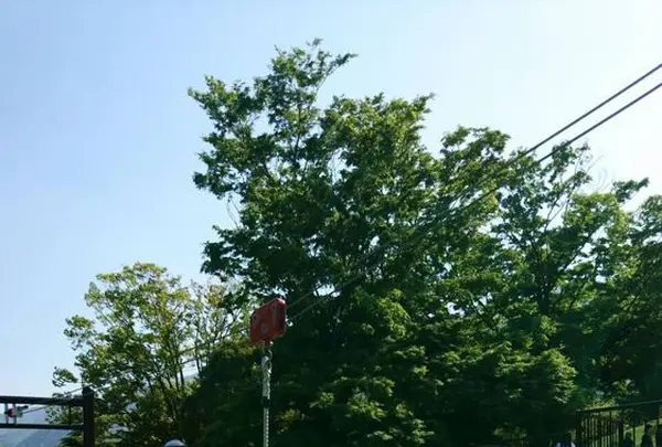 岐阜県こどもの国の写真・動画_image_190976