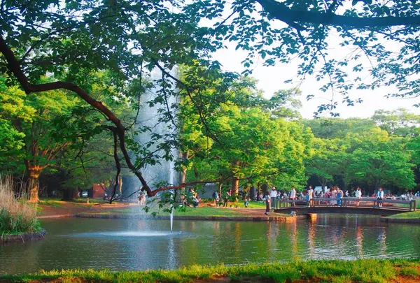 代々木公園の写真・動画_image_191049