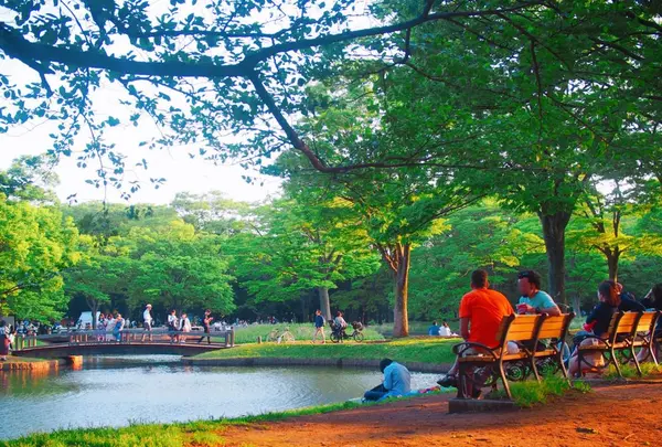 代々木公園の写真・動画_image_191050